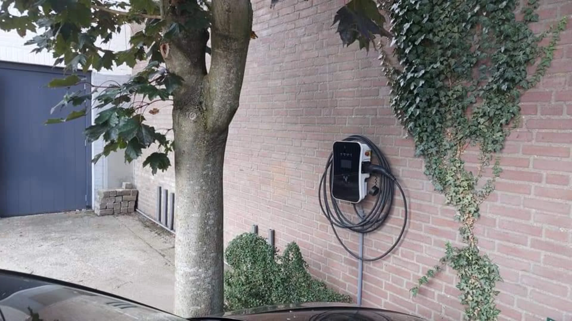 Geen beschrijving opgegeven